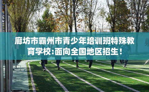 廊坊市霸州市青少年培训班特殊教育学校:面向全国地区招生！