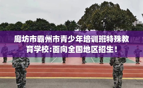 廊坊市霸州市青少年培训班特殊教育学校:面向全国地区招生！