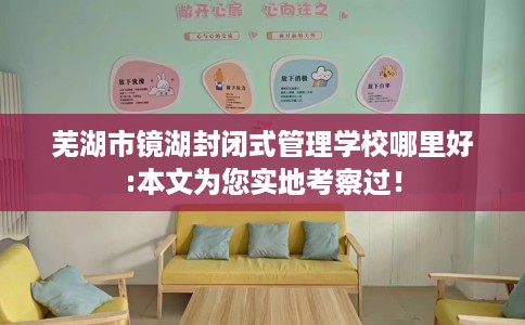 芜湖市镜湖封闭式管理学校哪里好:本文为您实地考察过！