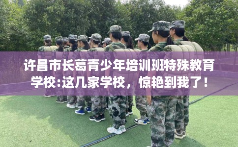 许昌市长葛青少年培训班特殊教育学校:这几家学校，惊艳到我了！
