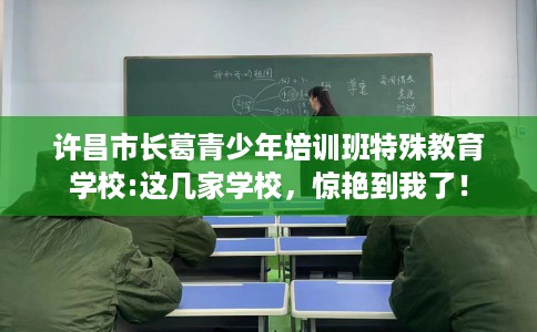 许昌市长葛青少年培训班特殊教育学校:这几家学校，惊艳到我了！