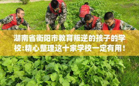湖南省衡阳市教育叛逆的孩子的学校:精心整理这十家学校一定有用! 湖南省衡阳市教育叛逆的孩子的学校:精心整理这十家学校一定有用!