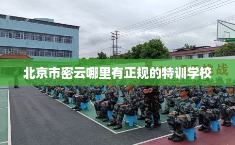 北京市密云哪里有正规的特训学校 北京市密云哪里有正规的特训学校