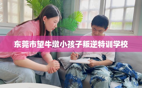 东莞市望牛墩小孩子叛逆特训学校