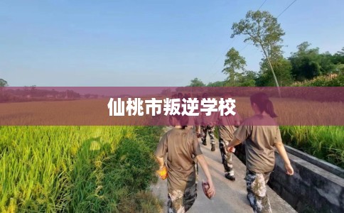 仙桃市叛逆学校