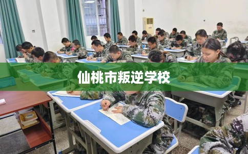 仙桃市叛逆学校