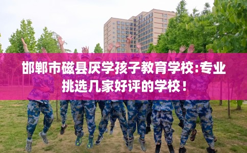 邯郸市磁县厌学孩子教育学校:专业挑选几家好评的学校！