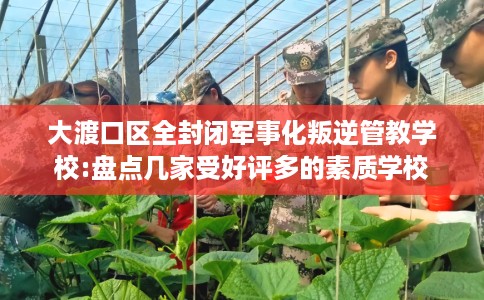 大渡口区全封闭军事化叛逆管教学校:盘点几家受好评多的素质学校 大渡口区全封闭军事化叛逆管教学校:盘点几家受好评多的素质学校