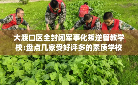 大渡口区全封闭军事化叛逆管教学校:盘点几家受好评多的素质学校
