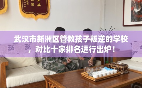 武汉市新洲区管教孩子叛逆的学校,对比十家排名进行出炉! 武汉市新洲区管教孩子叛逆的学校,对比十家排名进行出炉!