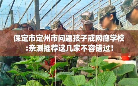 保定市定州市问题孩子戒网瘾学校:亲测推荐这几家不容错过！