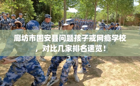 廊坊市固安县问题孩子戒网瘾学校，对比几家排名速览！