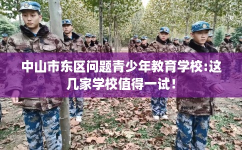 中山市东区问题青少年教育学校:这几家学校值得一试！