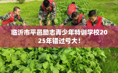 临沂市平邑励志青少年特训学校2025年错过亏大！