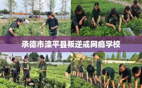 承德市滦平县叛逆戒网瘾学校 承德市滦平县叛逆戒网瘾学校