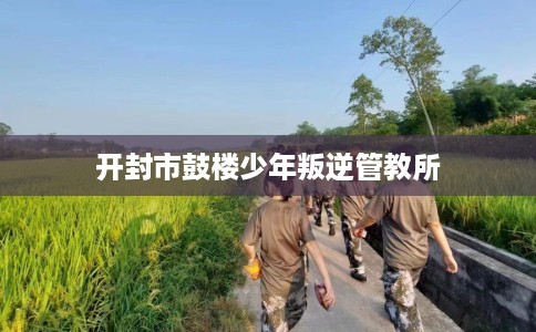 开封市鼓楼少年叛逆管教所 开封市鼓楼少年叛逆管教所