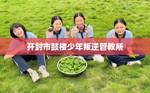 开封市鼓楼少年叛逆管教所