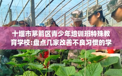 十堰市茅箭区青少年培训班特殊教育学校:盘点几家改善不良习惯的学校! 十堰市茅箭区青少年培训班特殊教育学校:盘点几家改善不良习惯的学校!