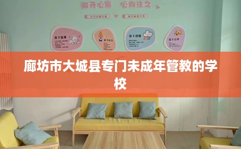 廊坊市大城县专门未成年管教的学校
