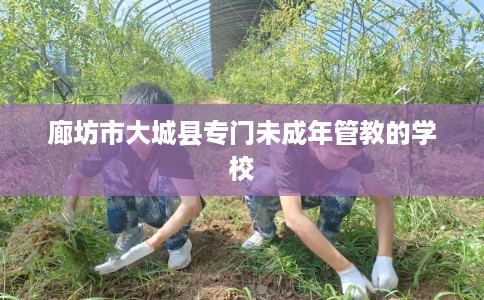 廊坊市大城县专门未成年管教的学校