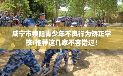 咸宁市崇阳青少年不良行为矫正学校:推荐这几家不容错过！