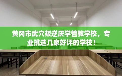 黄冈市武穴叛逆厌学管教学校，专业挑选几家好评的学校！