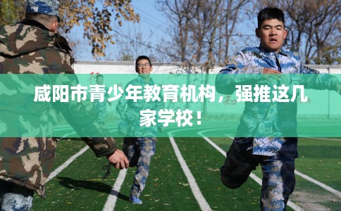 咸阳市青少年教育机构，强推这几家学校！