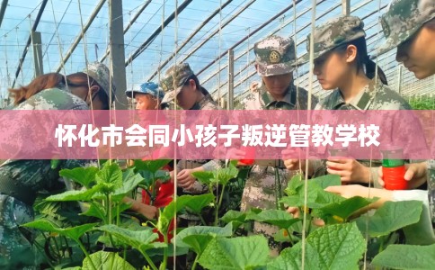 怀化市会同小孩子叛逆管教学校 怀化市会同小孩子叛逆管教学校