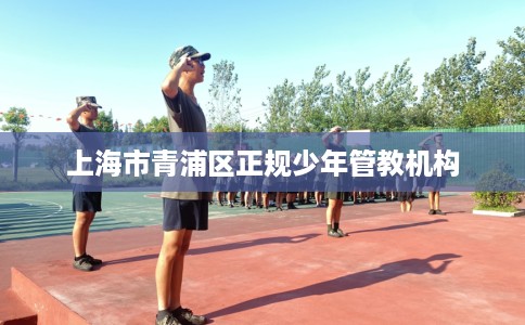 上海市青浦区正规少年管教机构 上海市青浦区正规少年管教机构