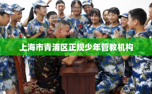上海市青浦区正规少年管教机构