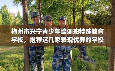 梅州市兴宁青少年培训班特殊教育学校，推荐这几家表现优异的学校！