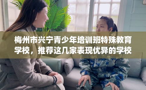 梅州市兴宁青少年培训班特殊教育学校，推荐这几家表现优异的学校！