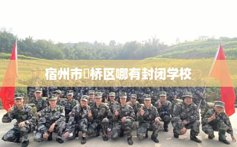 宿州市埇桥区哪有封闭学校 宿州市埇桥区哪有封闭学校