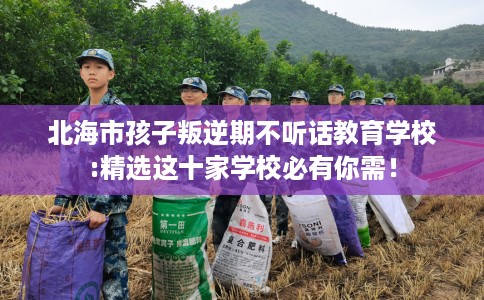 北海市孩子叛逆期不听话教育学校:精选这十家学校必有你需! 北海市孩子叛逆期不听话教育学校:精选这十家学校必有你需!