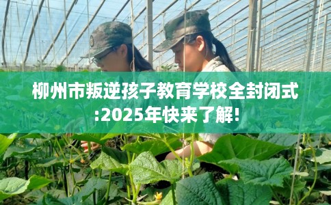 柳州市叛逆孩子教育学校全封闭式:2025年快来了解!