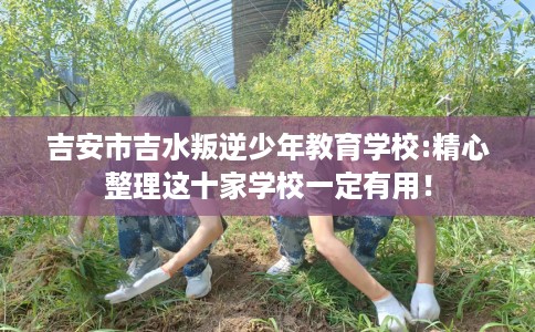 吉安市吉水叛逆少年教育学校:精心整理这十家学校一定有用! 吉安市吉水叛逆少年教育学校:精心整理这十家学校一定有用!