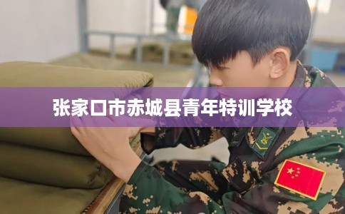 张家口市赤城县青年特训学校 张家口市赤城县青年特训学校