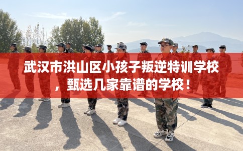 武汉市洪山区小孩子叛逆特训学校，甄选几家靠谱的学校！