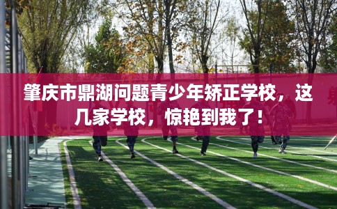 肇庆市鼎湖问题青少年矫正学校，这几家学校，惊艳到我了！