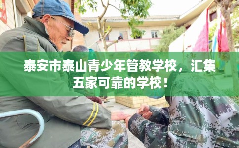 泰安市泰山青少年管教学校，汇集五家可靠的学校！