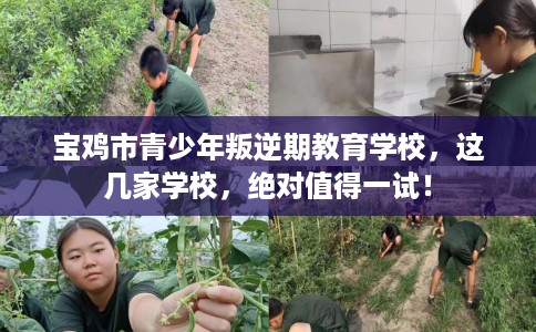 宝鸡市青少年叛逆期教育学校，这几家学校，绝对值得一试！