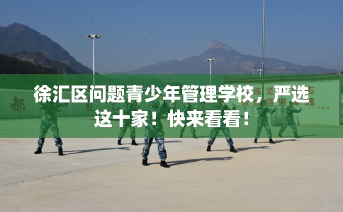 徐汇区问题青少年管理学校,严选这十家!快来看看! 徐汇区问题青少年管理学校,严选这十家!快来看看!