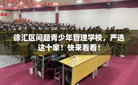 徐汇区问题青少年管理学校，严选这十家！快来看看！