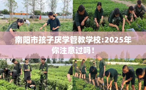 南阳市孩子厌学管教学校:2025年你注意过吗! 南阳市孩子厌学管教学校:2025年你注意过吗!