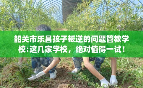 韶关市乐昌孩子叛逆的问题管教学校:这几家学校，绝对值得一试！