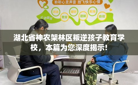 湖北省神农架林区叛逆孩子教育学校，本篇为您深度揭示!
