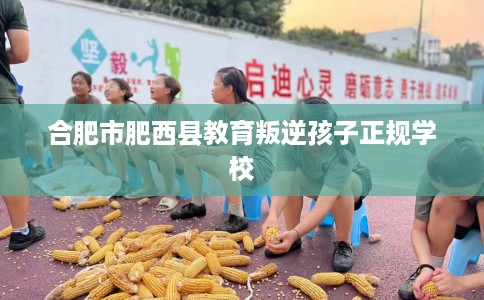 合肥市肥西县教育叛逆孩子正规学校