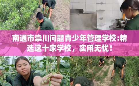 南通市崇川问题青少年管理学校:精选这十家学校，实用无忧！