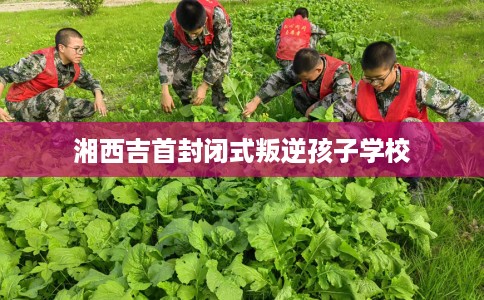 湘西吉首封闭式叛逆孩子学校 湘西吉首封闭式叛逆孩子学校