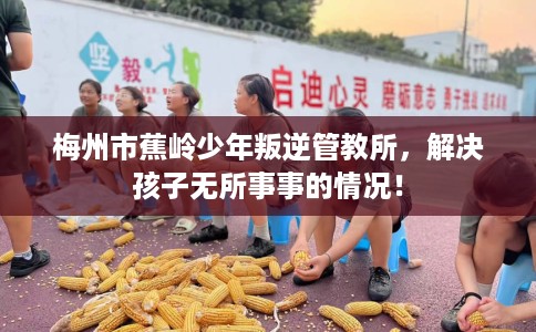 梅州市蕉岭少年叛逆管教所,解决孩子无所事事的情况! 梅州市蕉岭少年叛逆管教所,解决孩子无所事事的情况!